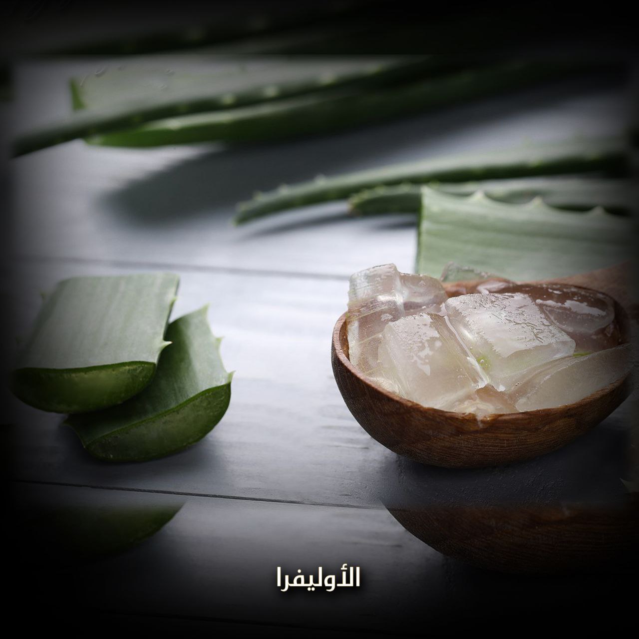 الأوليفيرا