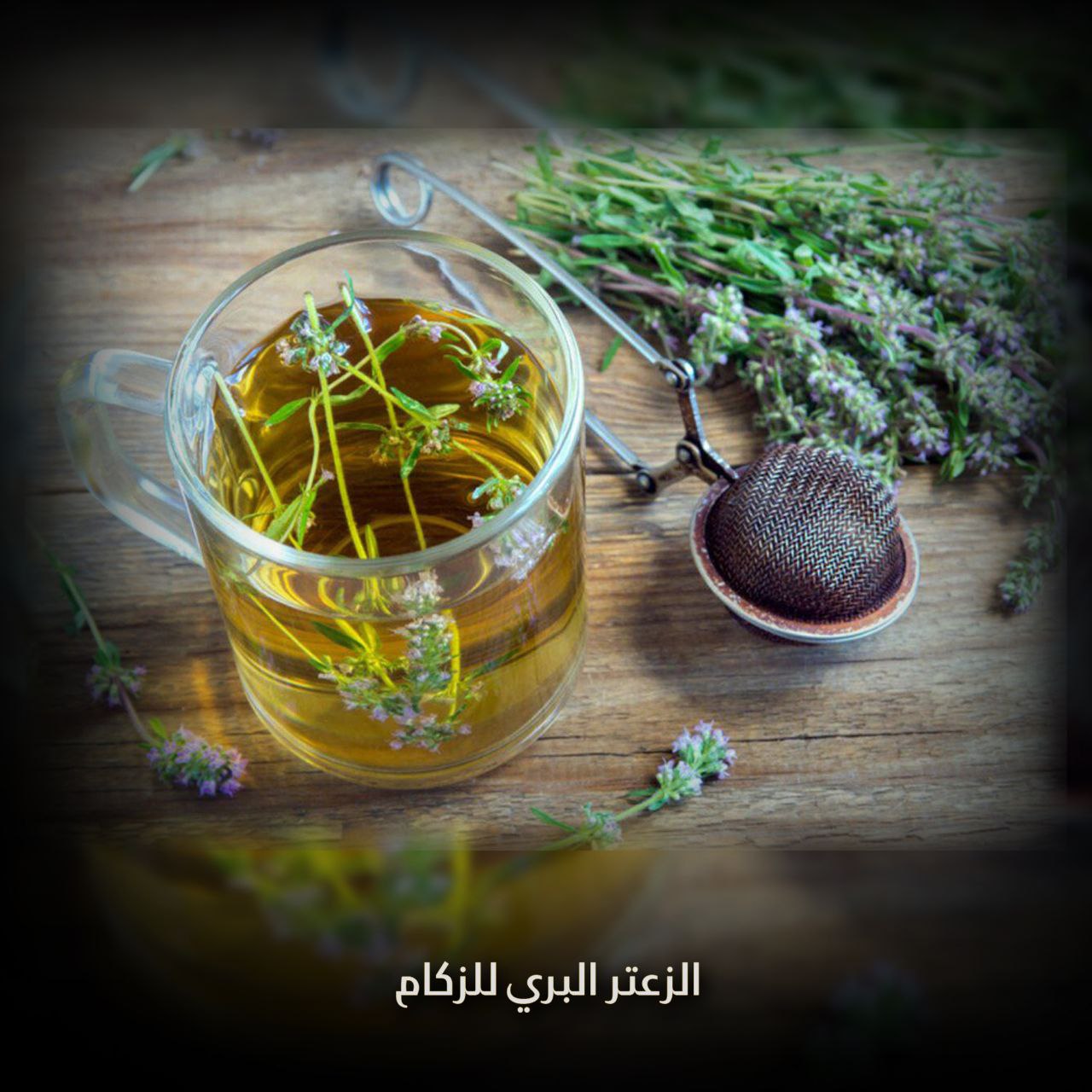 الزعتر البري للزكام