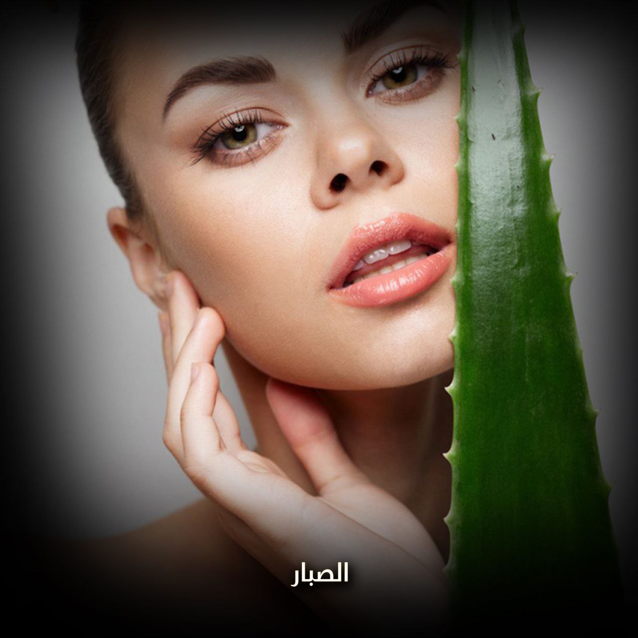 الصبار