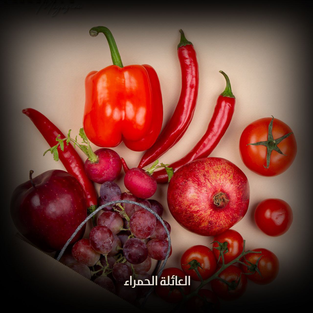 العائلة الحمراء