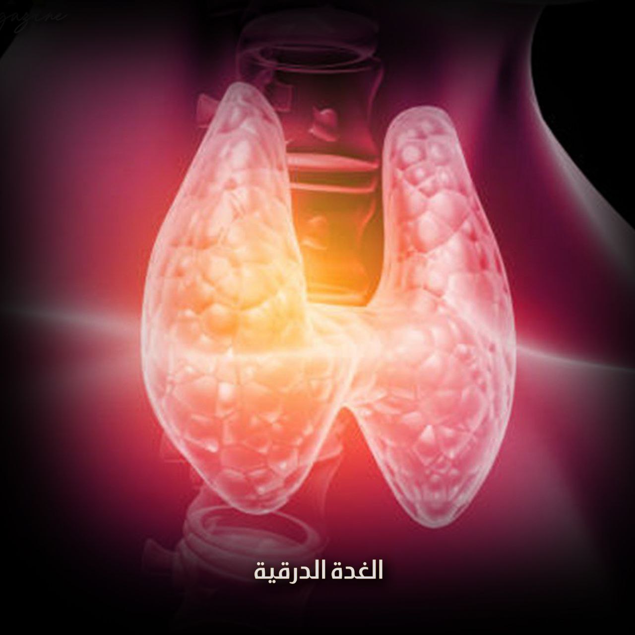 الغدة الدرقية