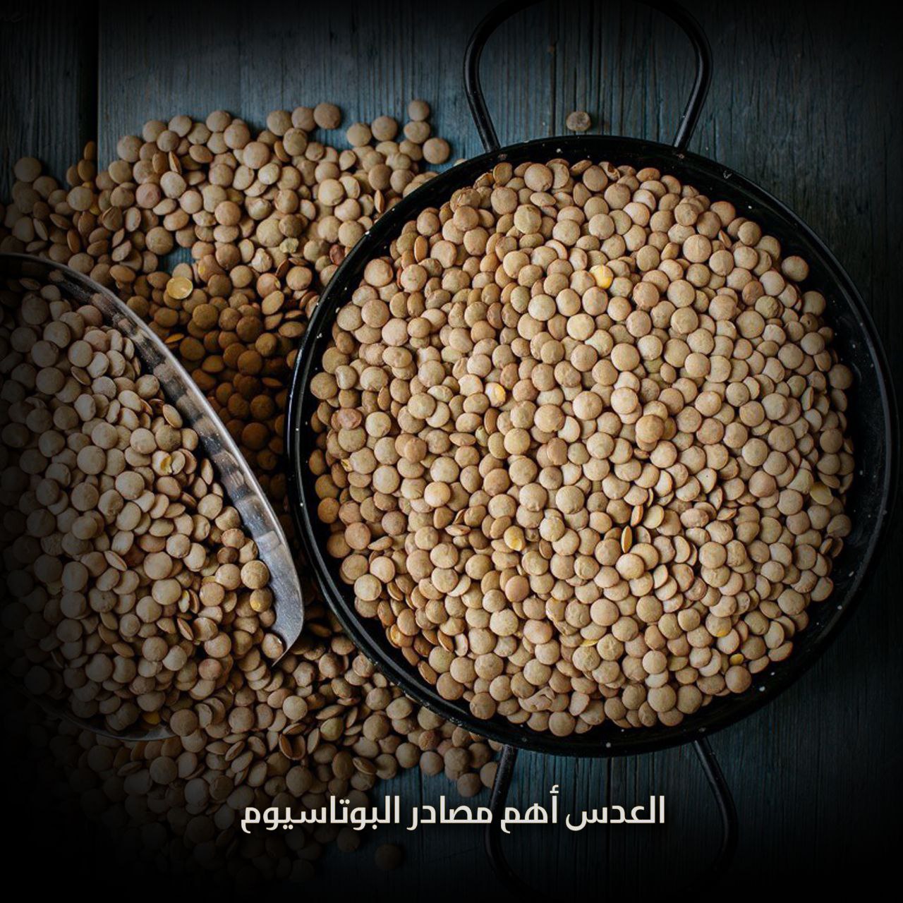 فوائد العدس