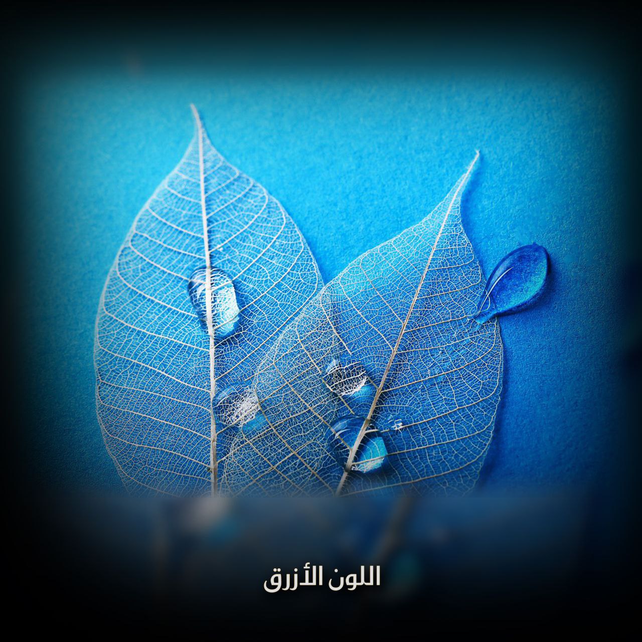 اللون الأزرق