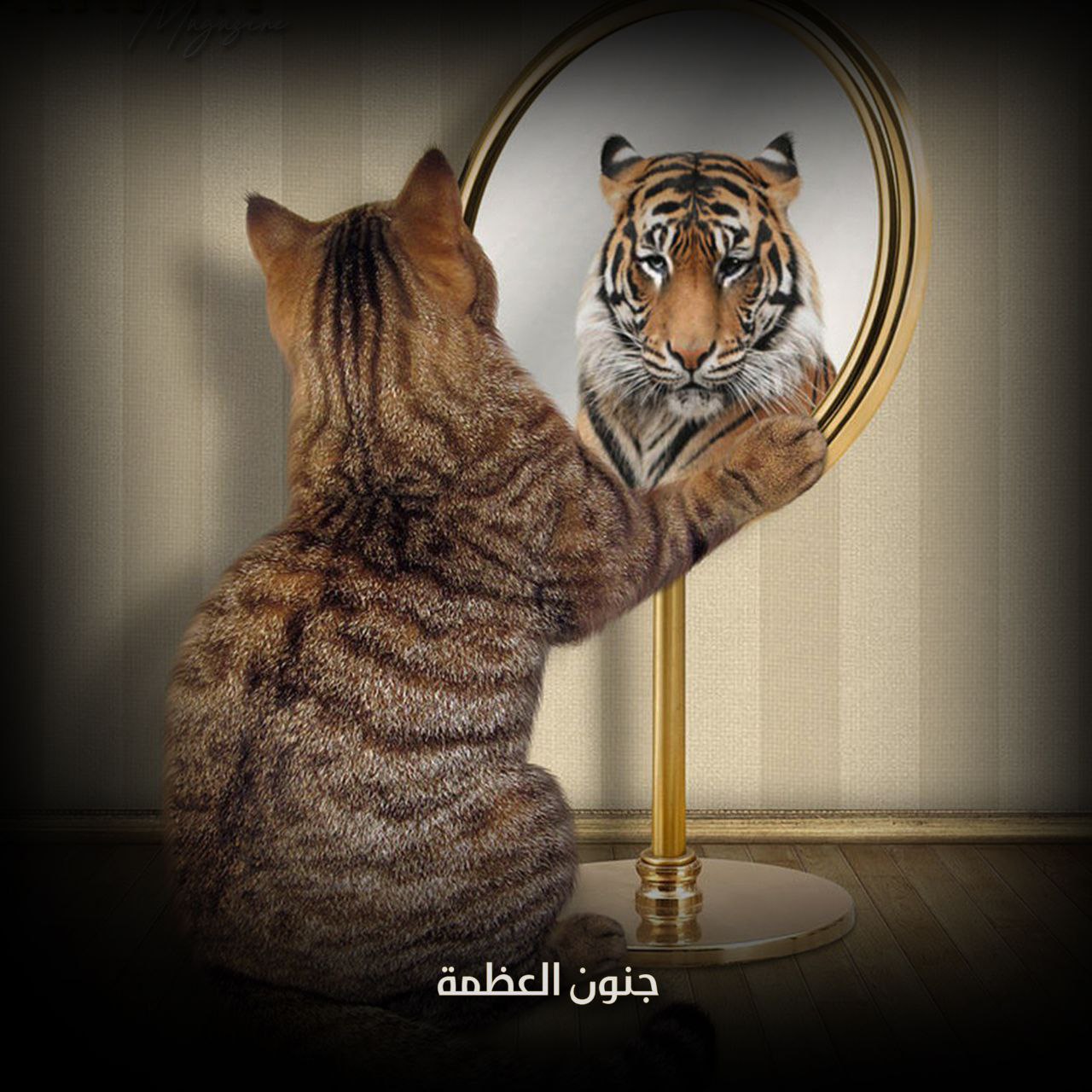 جنون العظمة