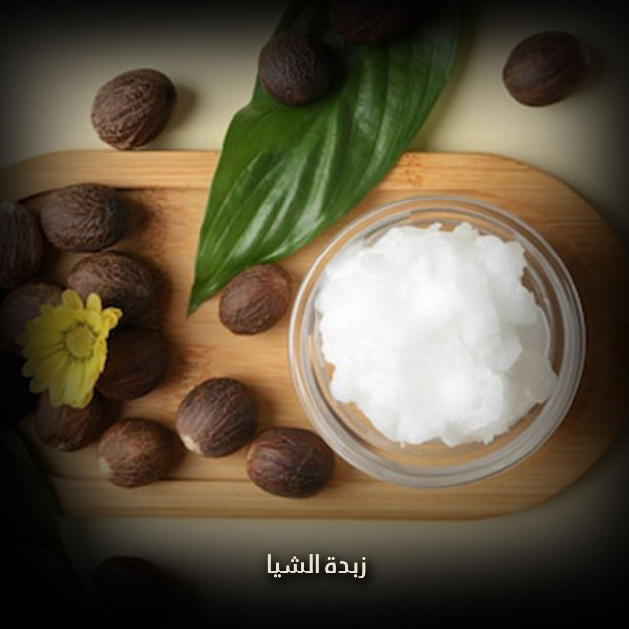 زبدة الشيا