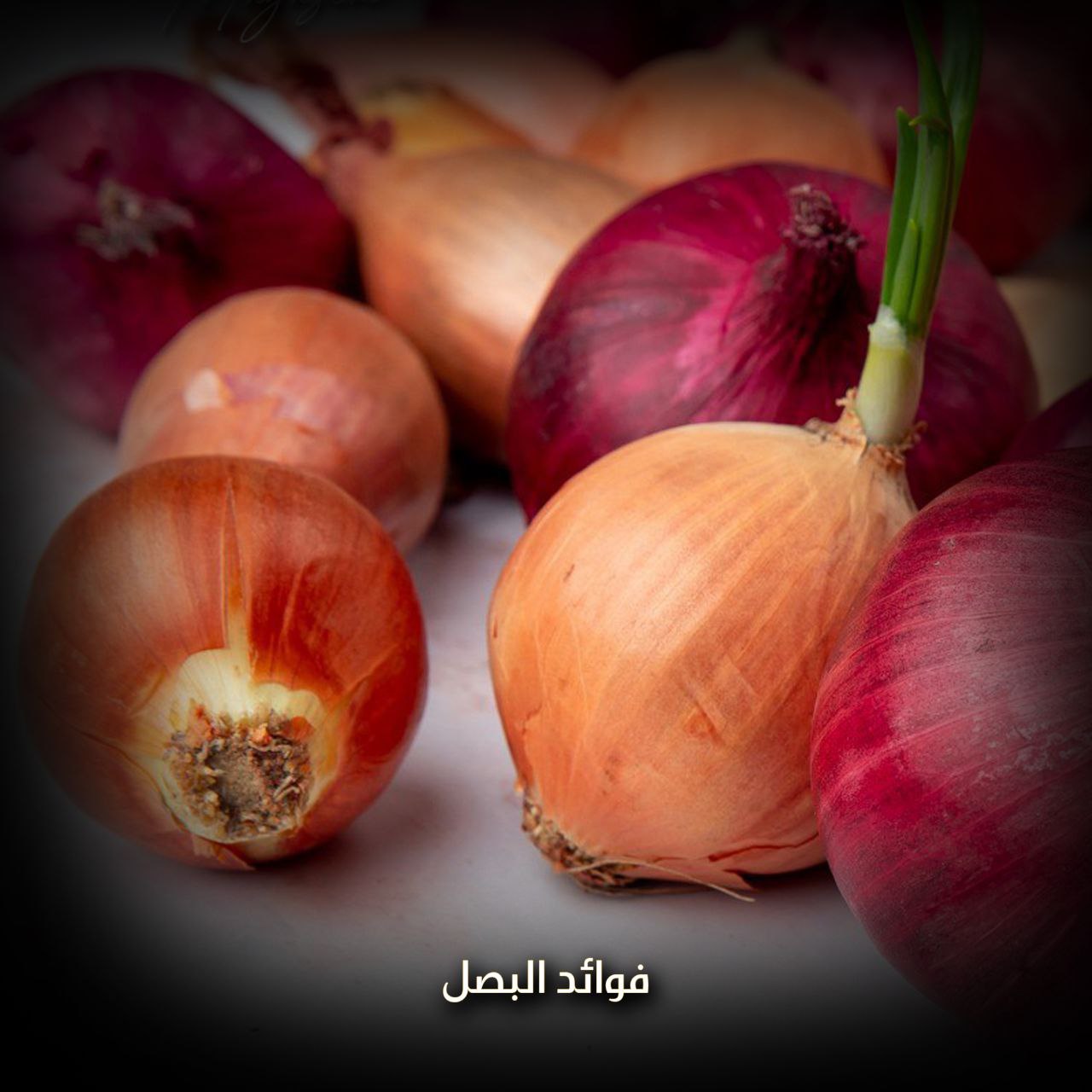 فوائد البصل