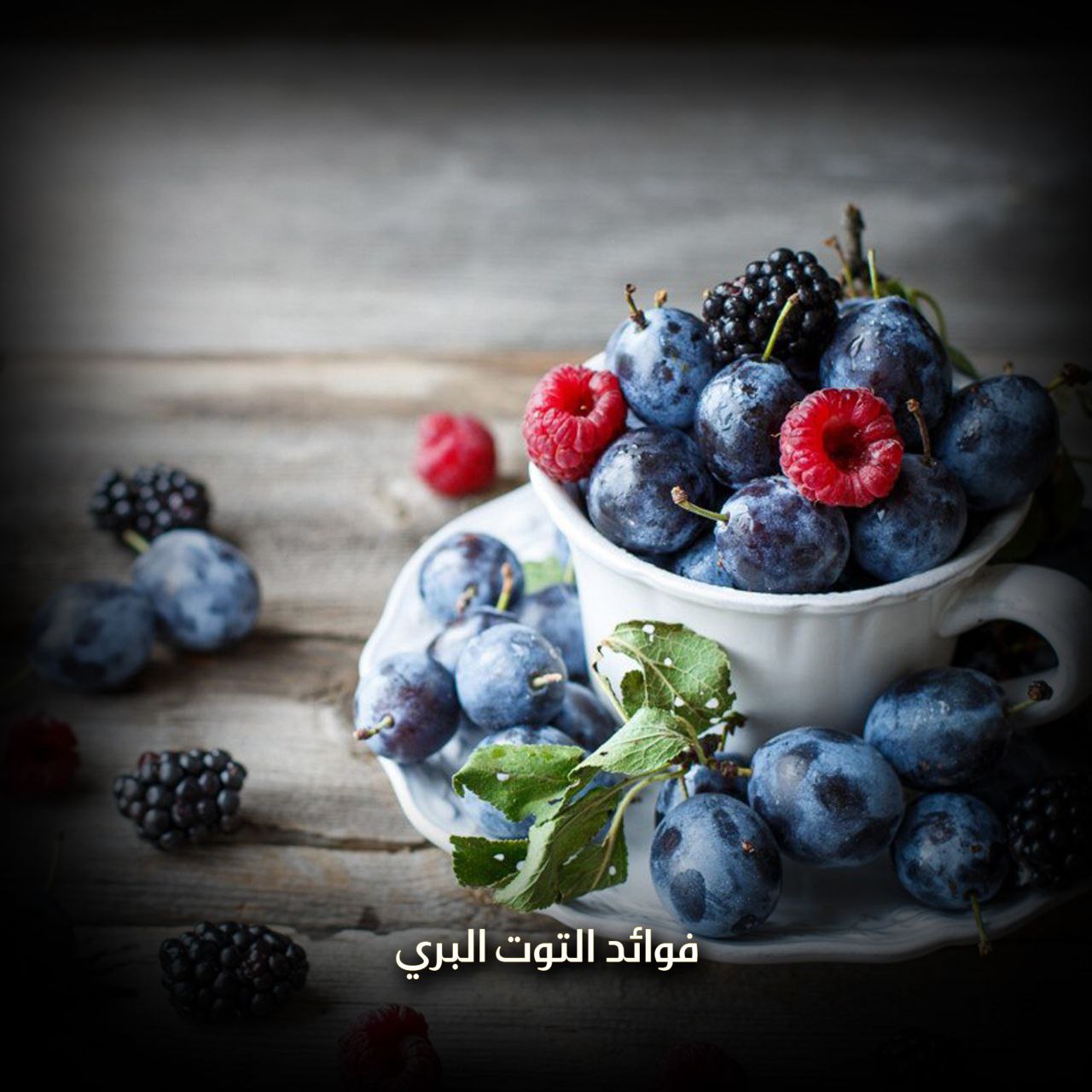 فوائد التوت البري