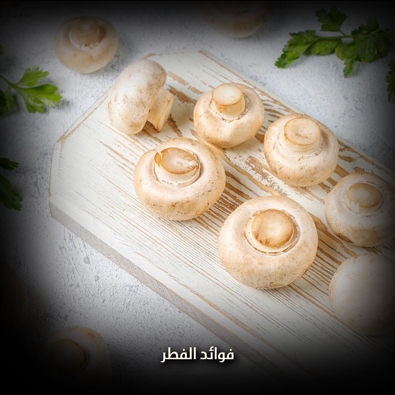 فوائد الفطر