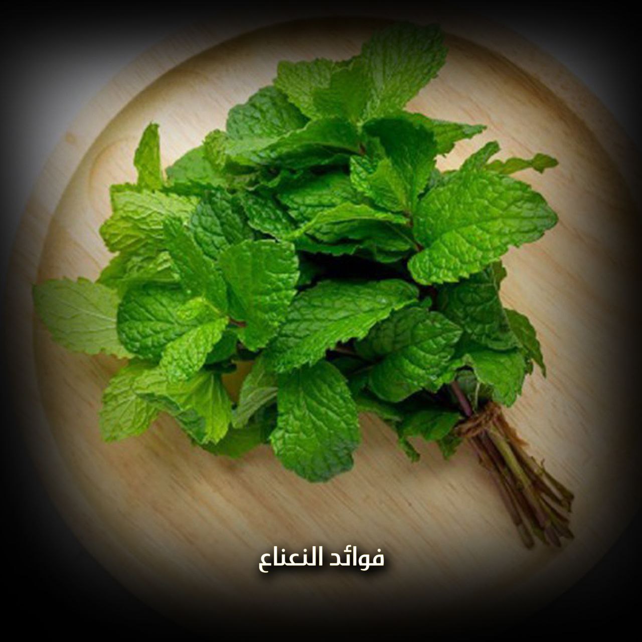 فوائد النعناع