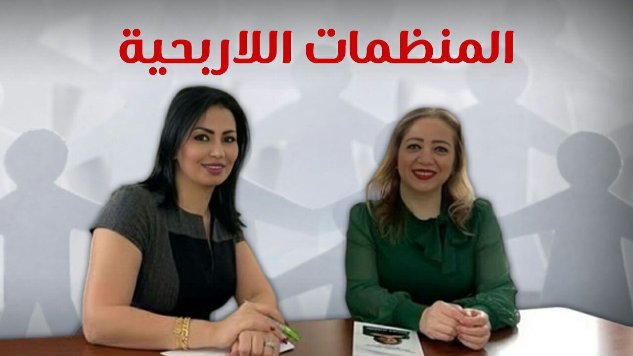 المنظمات اللاربحية