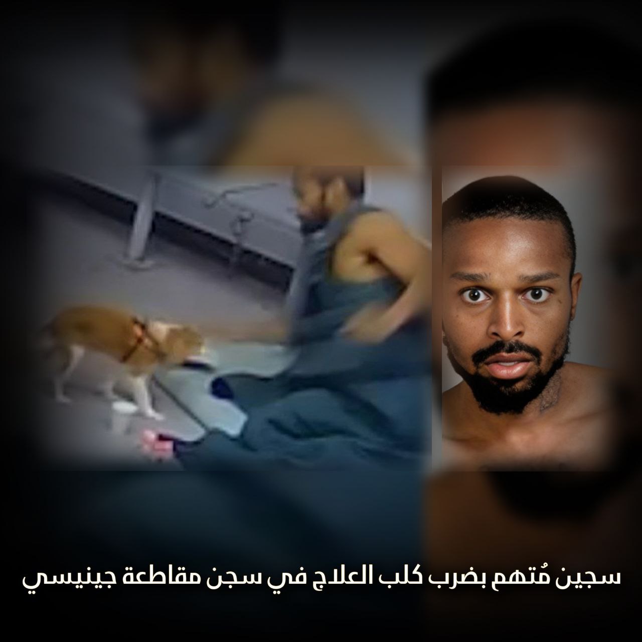 سجين متهم بضرب كلب العلاج في سجن مقاطعة جينيسي