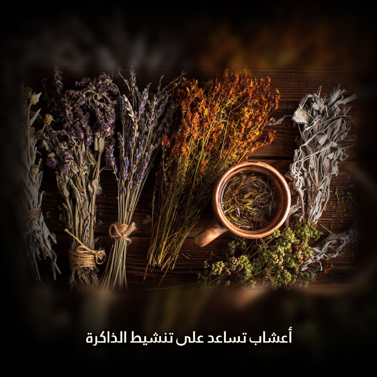 أعشاب تساعد على تنشيط الذاكرة