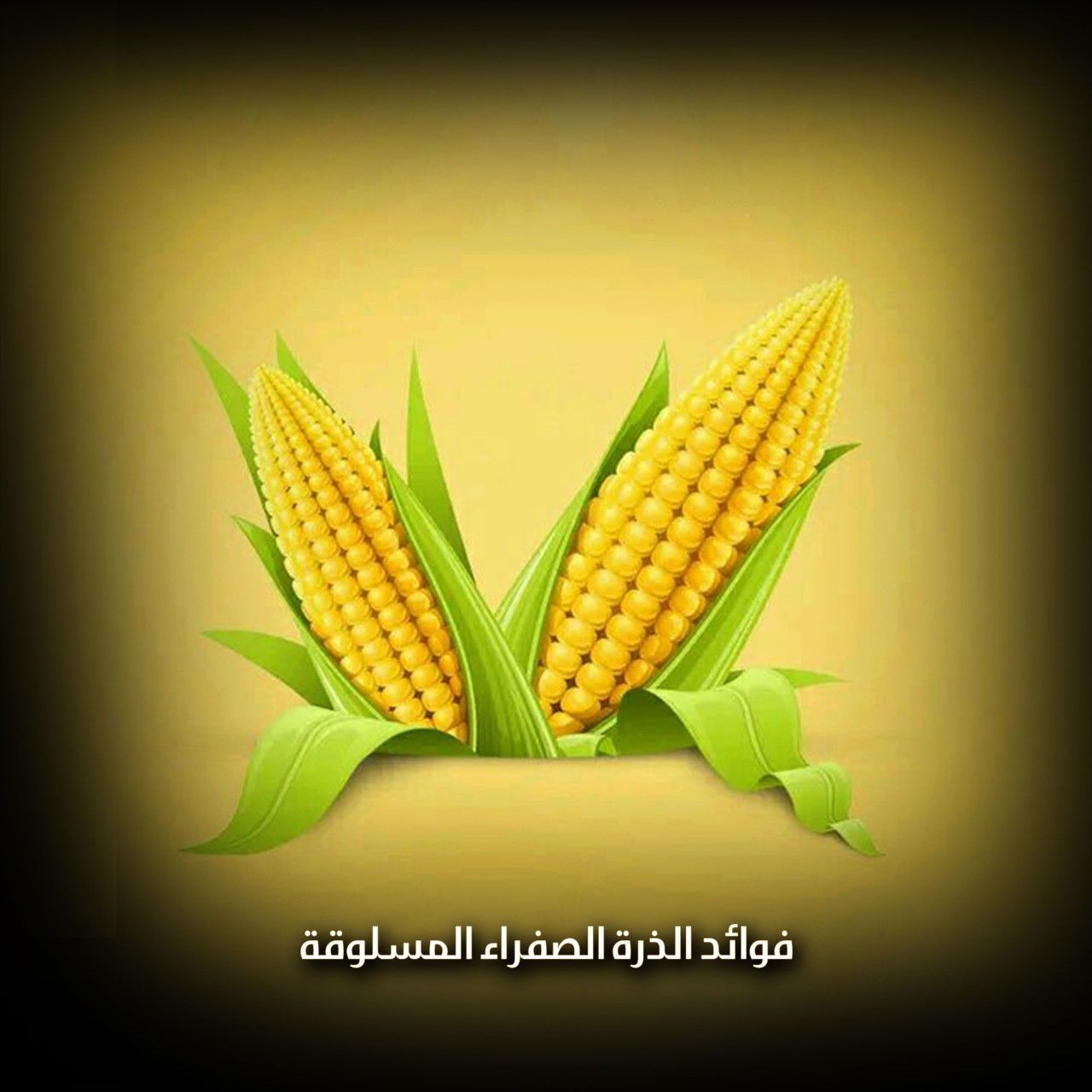 فوائد الذرة الصفراء المسلوقة