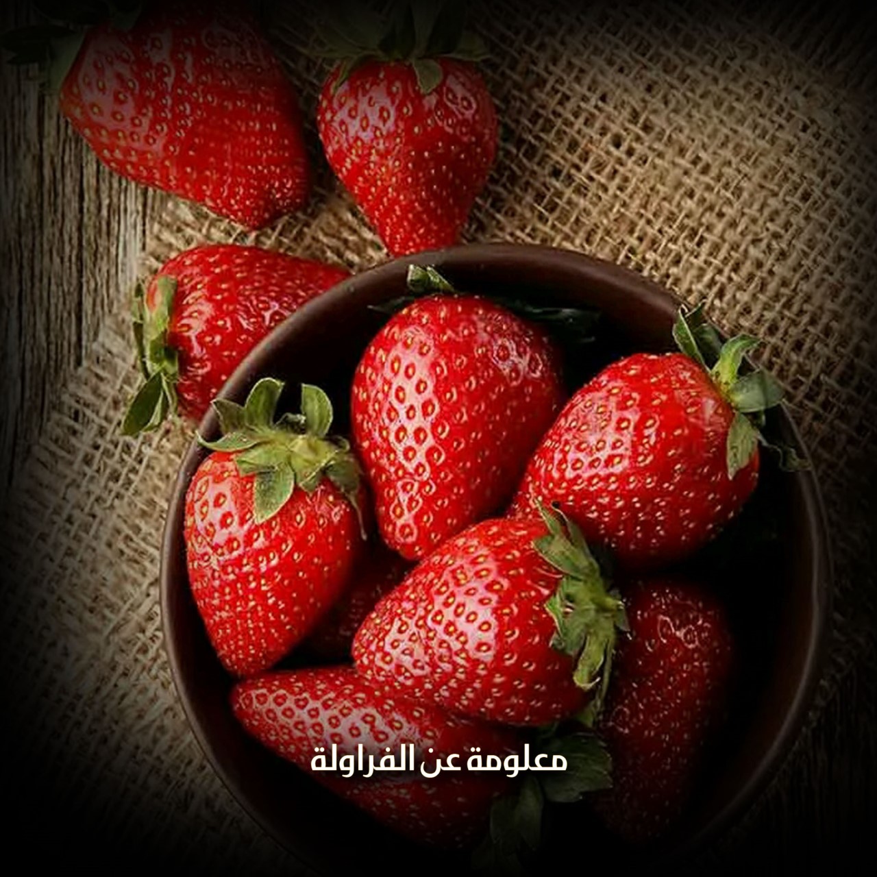 معلومة عن الفراولة