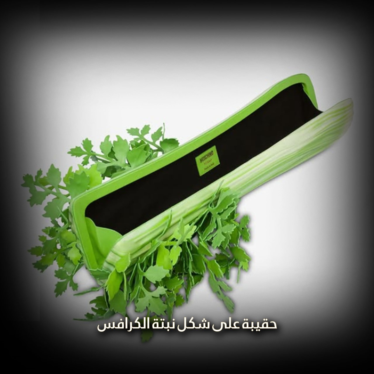 حقيبة على شكل نبتة كرافس