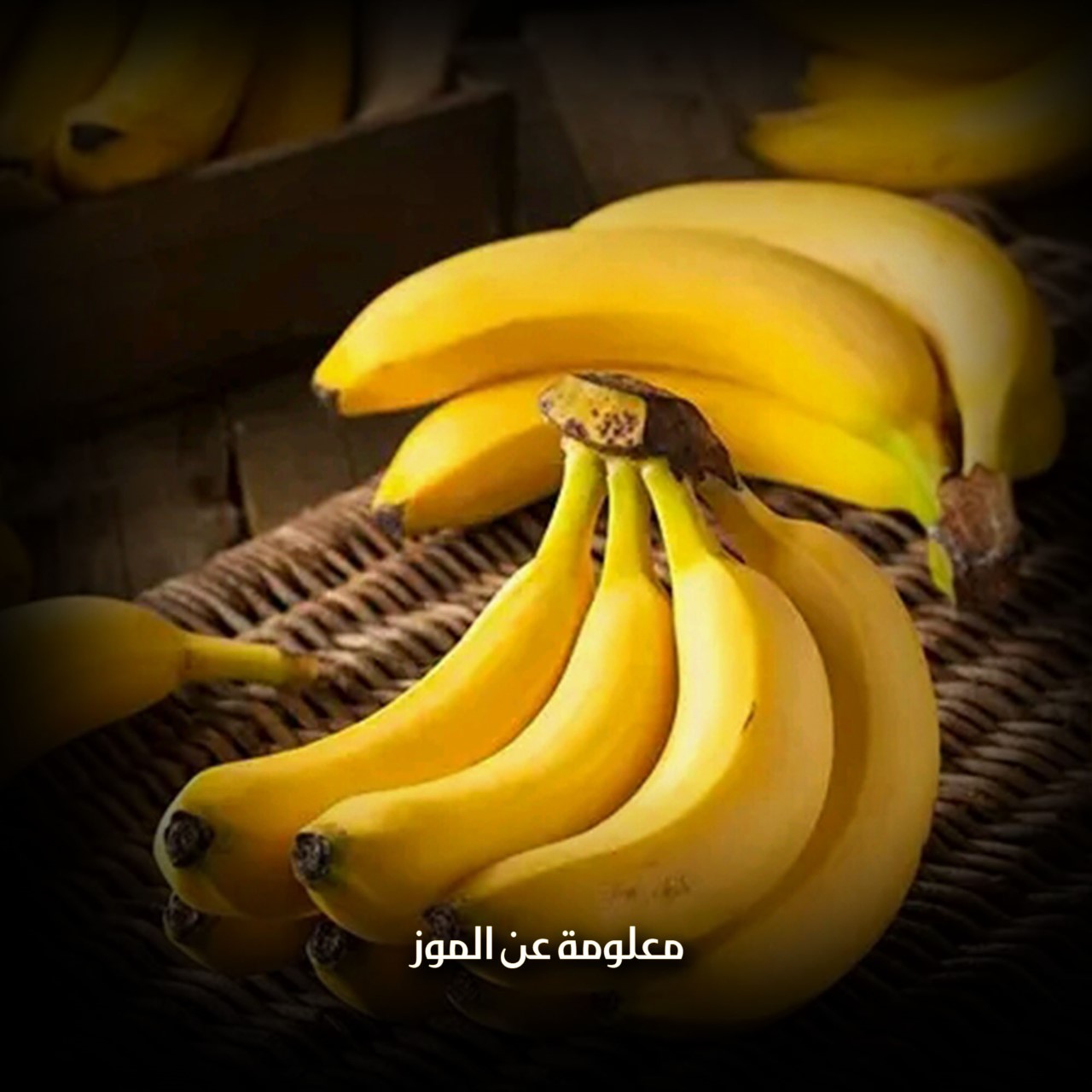 معلومة عن الموز