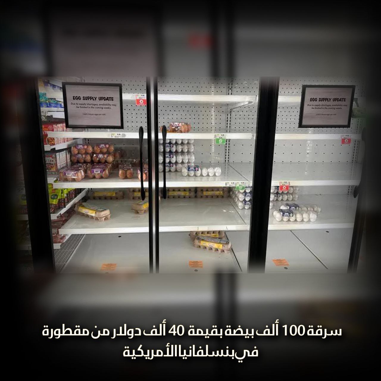سرقة 100 ألف بيضة بقيمة 40 ألف دولار من مقطورة في بنسلفانيا الأمريكية
