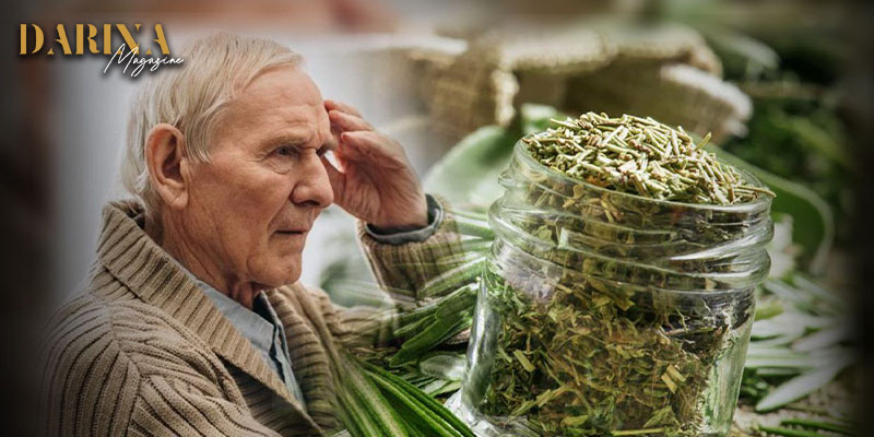 “الميرمية” و “اكليل الجبل” قد تشكّلان علاج لمرض الزهايمر