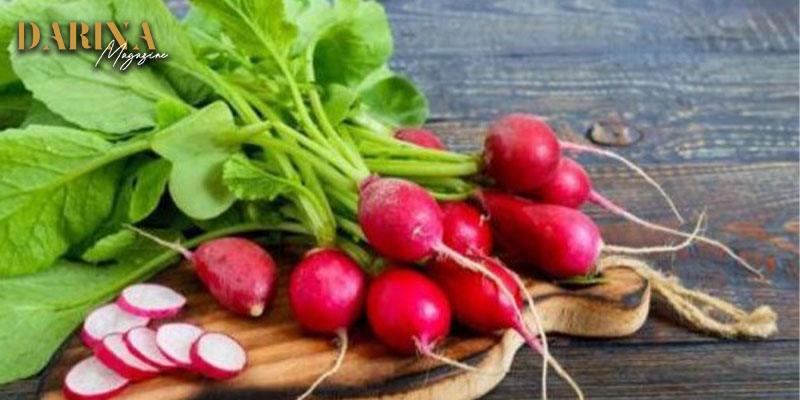 الفجل الحار وفوائده