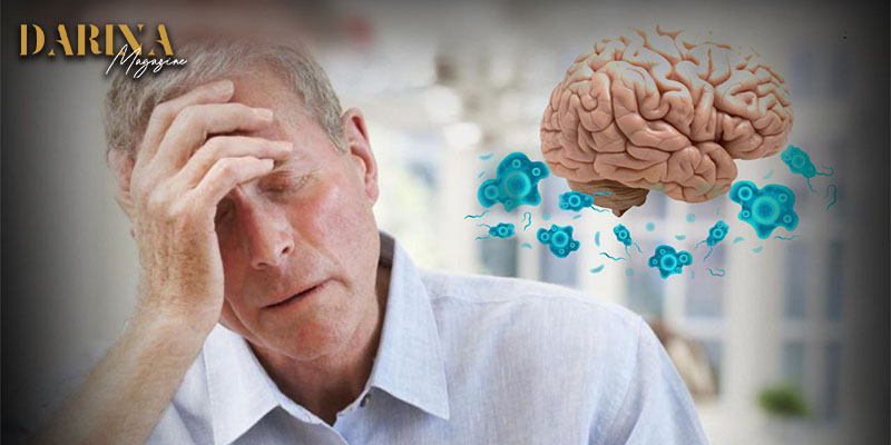 آكلة الدماغ